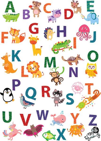 ترم تابستان 1404